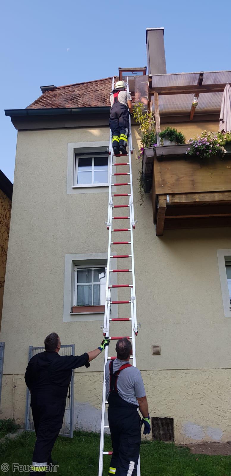 Kleintierrettung Kleintierrettung